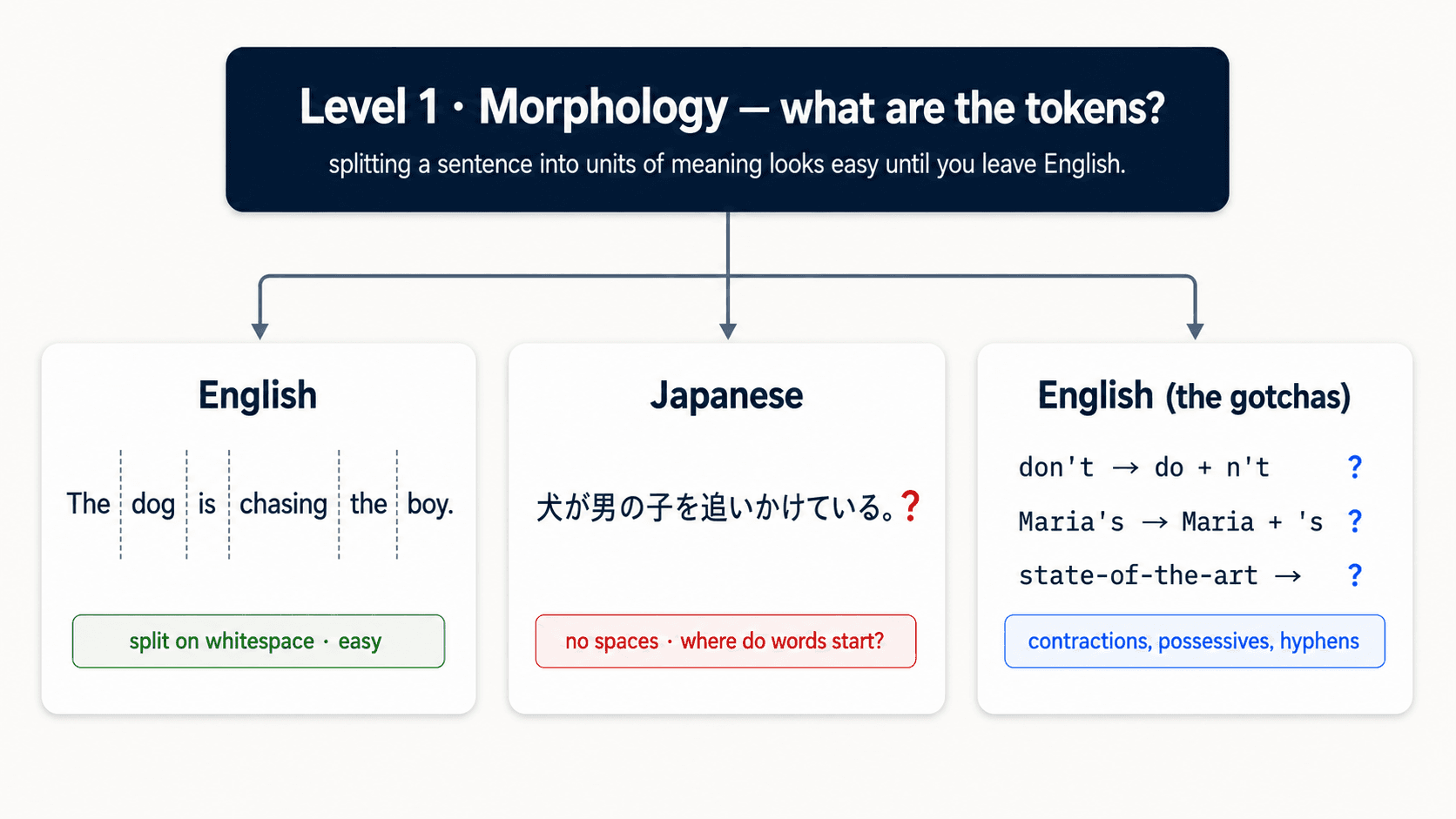 When Two English Tokenizers Disagree