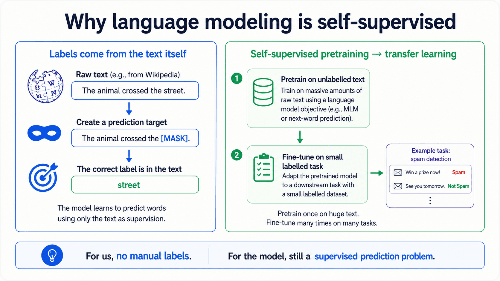 A 16:9 card titled 'Why language modeling is self-supervised'. It shows a raw sentence, a masked version, and the missing word label coming from the sentence itself, then a two-step transfer learning flow: pretrain on unlabelled text and fine-tune on a small labelled task. No number badge, no footer.