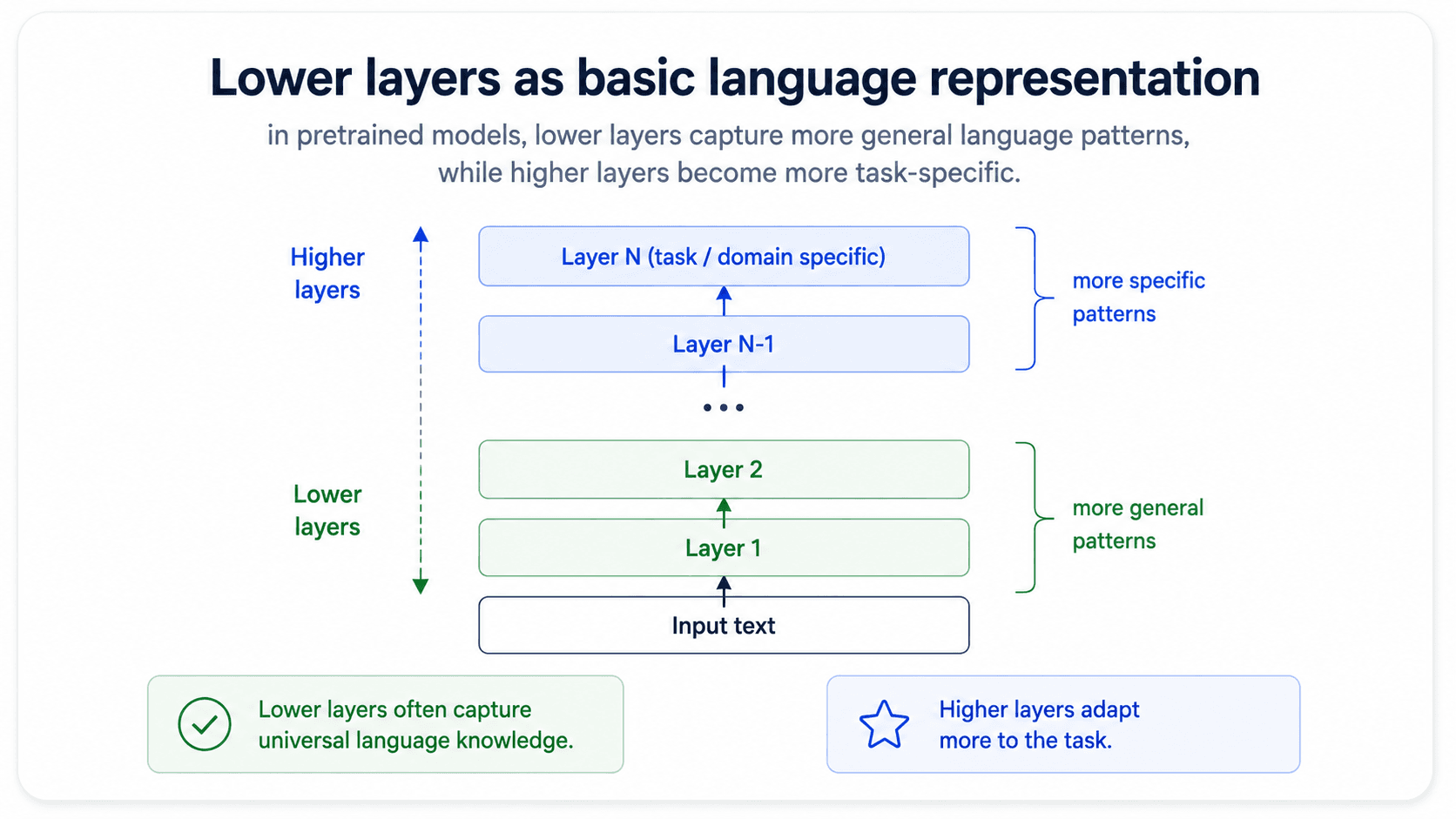 A card titled 'Neural network layers in language models'. A vertical stack of transformer layers labelled from bottom to top: 'subwords / tokens', 'word forms', 'syntax', 'semantics', 'task-specific'. Each layer shows what kind of feature lives there. Bottom green check: 'Lower layers = general language knowledge.' Bottom blue brain: 'Upper layers = task-specific patterns.'