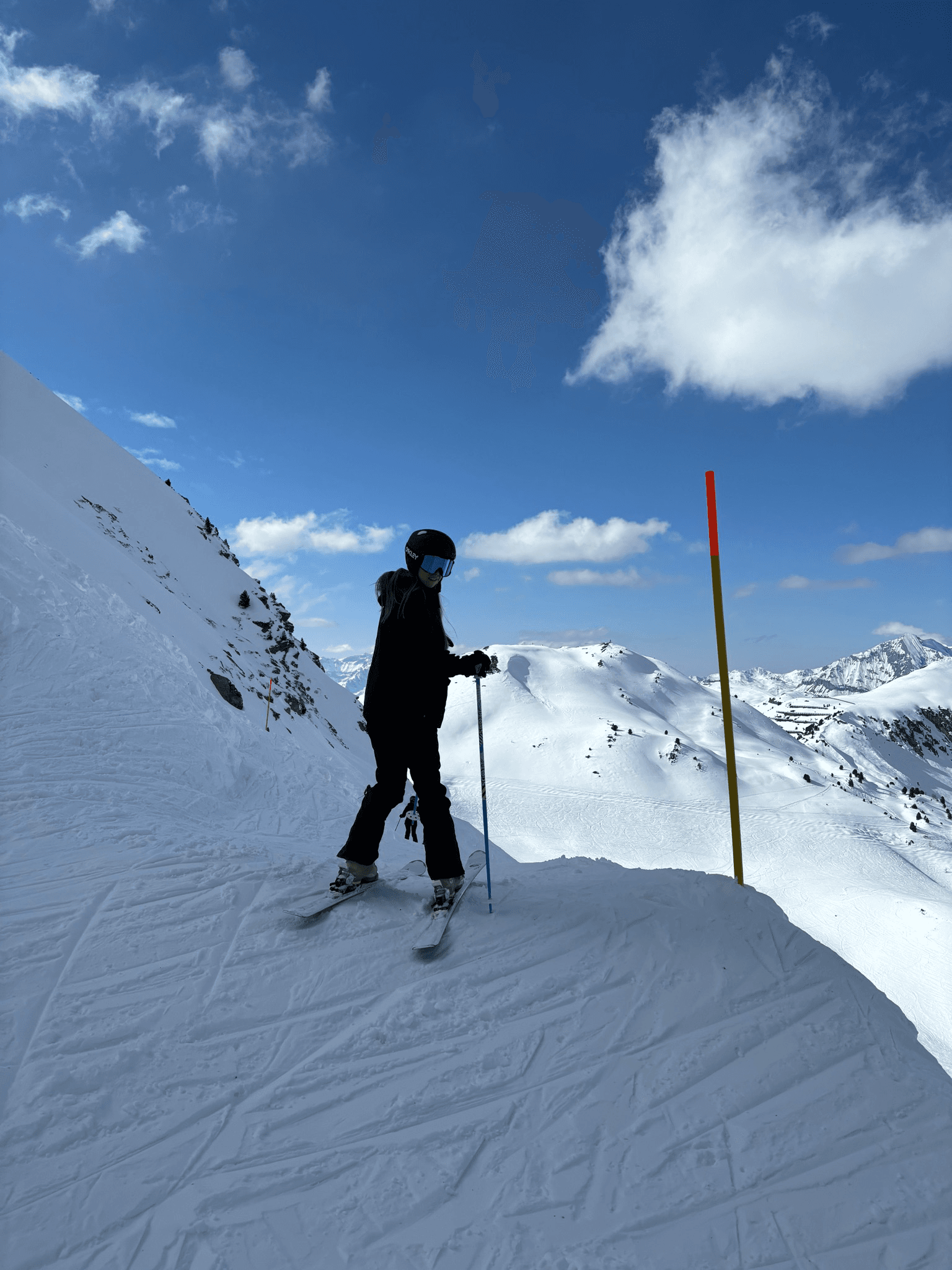 Ski team — where the discipline really set in